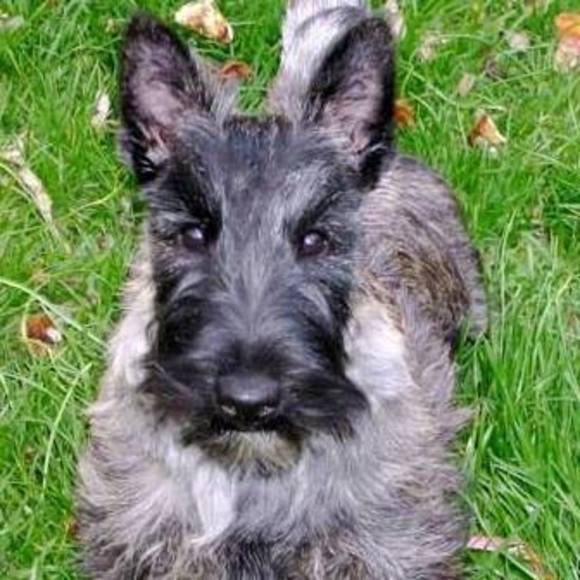 Meet your Posher, Lisa - Picture 1 of 1